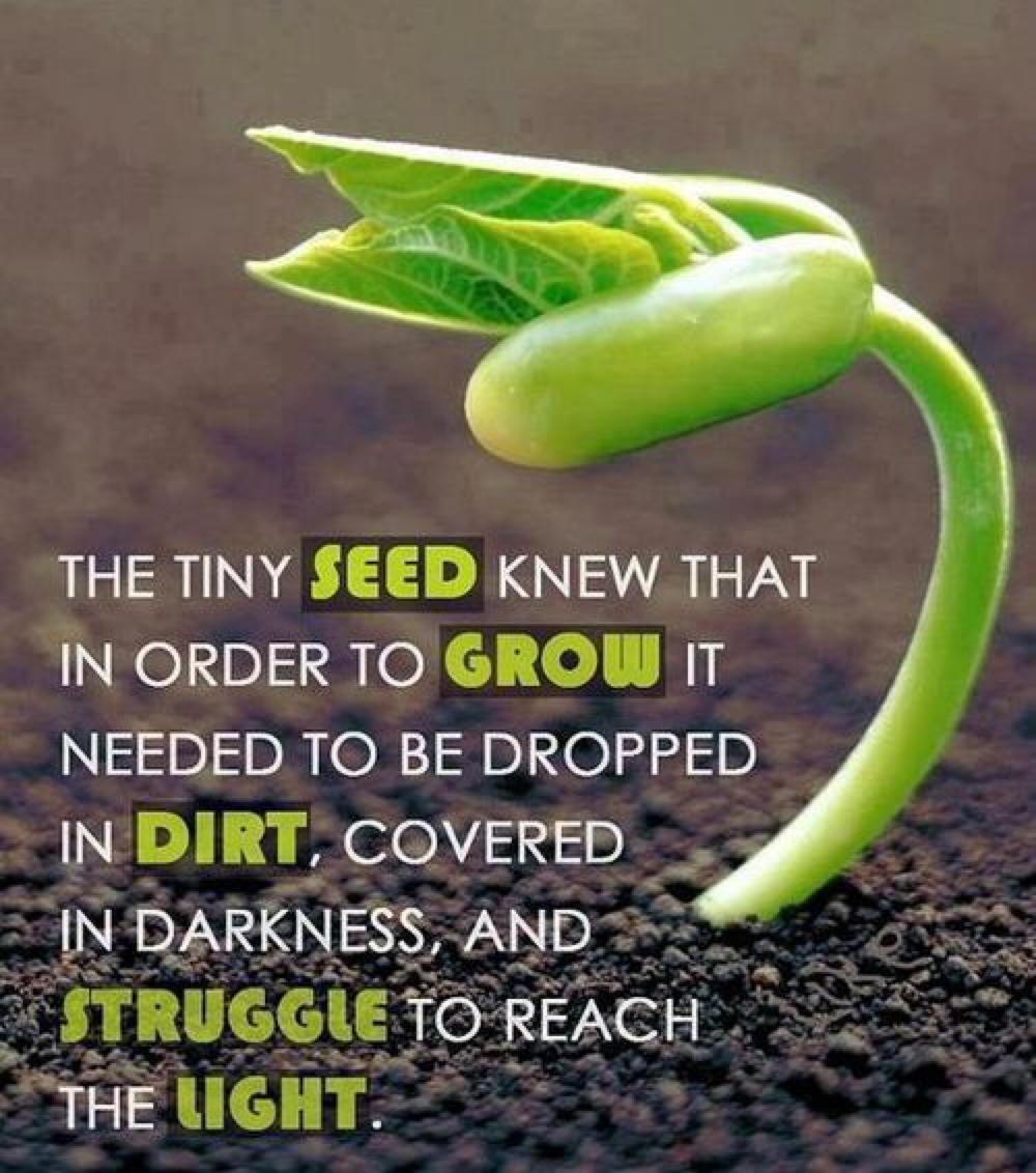 the seeds 900 million people daily